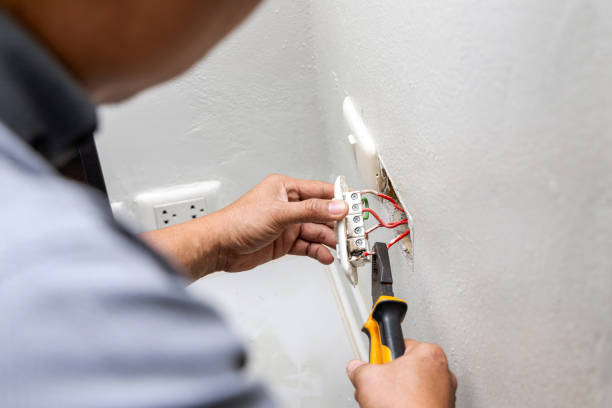 Best Electric Panel Repair  in Metropolis, IL